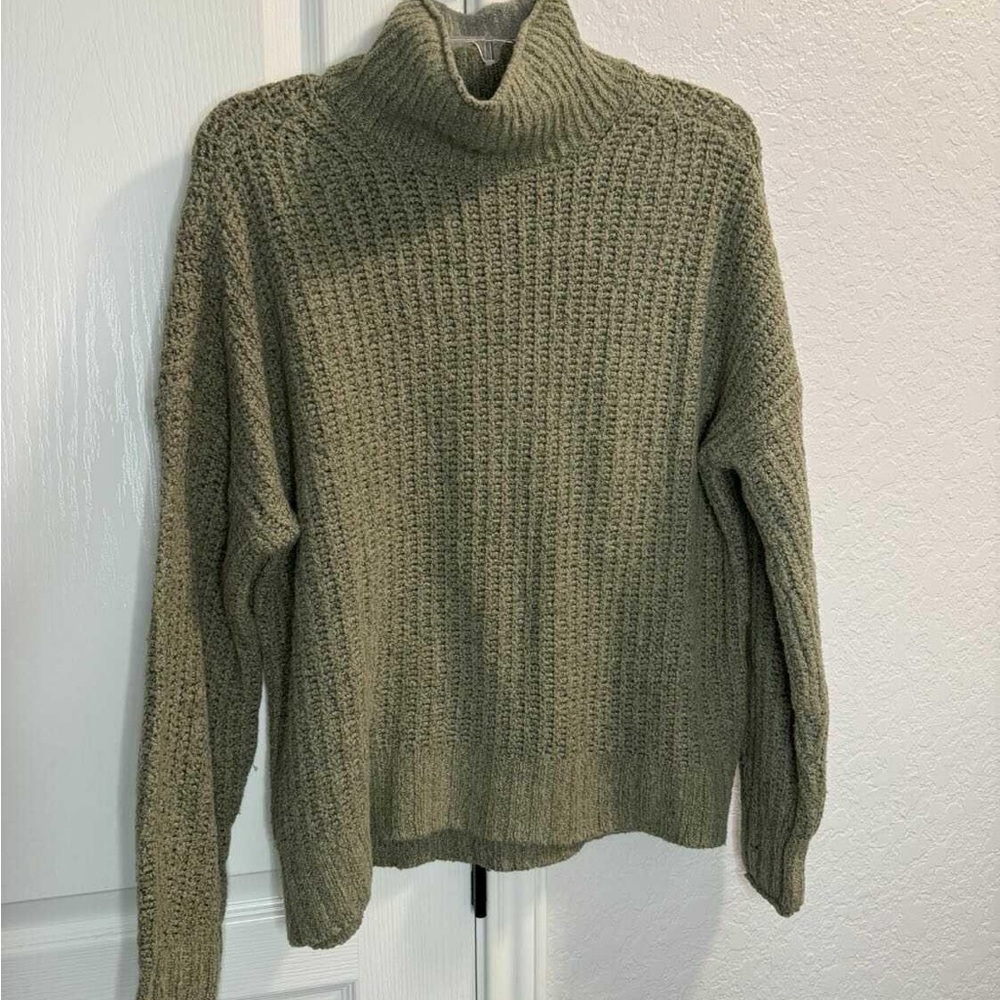 American Eagle Outfitters Sage Turtleneck Sweater